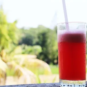 Nuriani 3*, Ubud (Bali) Indonesia